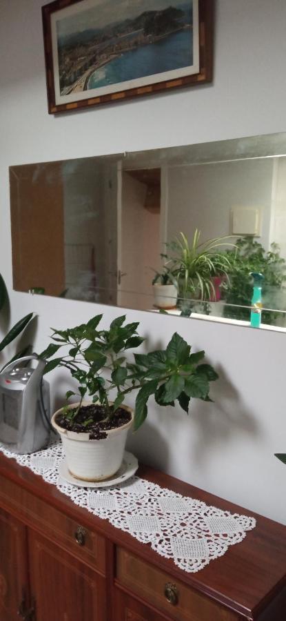 Atico Apartment Laguardia Ngoại thất bức ảnh